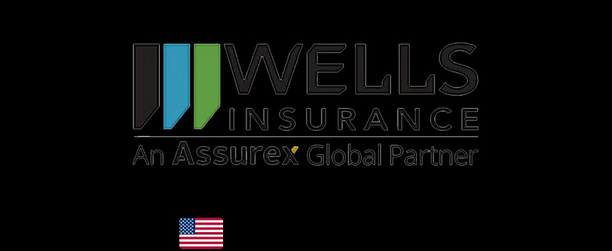 Wells Insurance USA